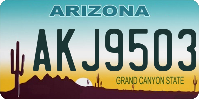 AZ license plate AKJ9503