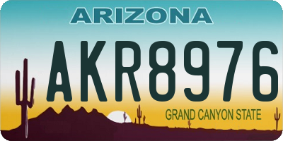 AZ license plate AKR8976