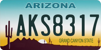 AZ license plate AKS8317