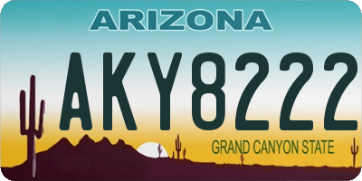 AZ license plate AKY8222