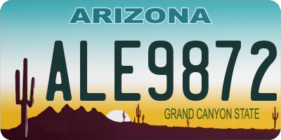 AZ license plate ALE9872