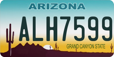 AZ license plate ALH7599