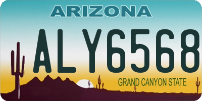 AZ license plate ALY6568