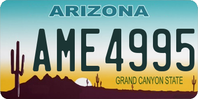 AZ license plate AME4995