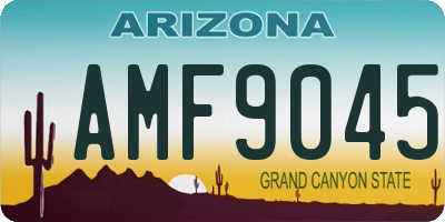 AZ license plate AMF9045