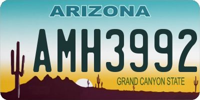 AZ license plate AMH3992
