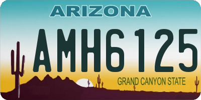 AZ license plate AMH6125