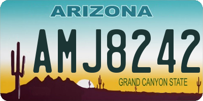 AZ license plate AMJ8242