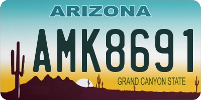 AZ license plate AMK8691