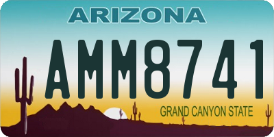 AZ license plate AMM8741