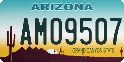AZ license plate AMO9507
