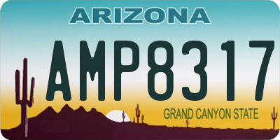 AZ license plate AMP8317