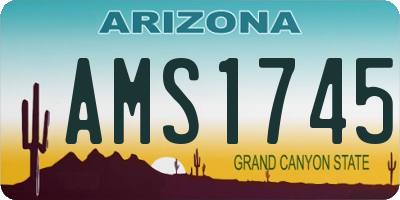 AZ license plate AMS1745