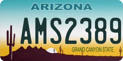 AZ license plate AMS2389