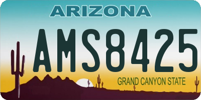 AZ license plate AMS8425