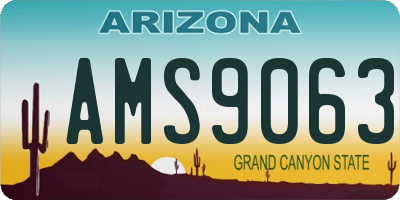 AZ license plate AMS9063