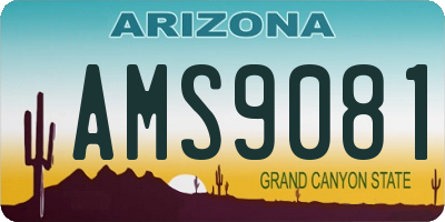 AZ license plate AMS9081