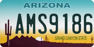 AZ license plate AMS9186
