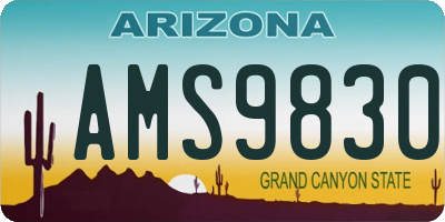 AZ license plate AMS9830