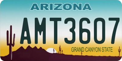 AZ license plate AMT3607