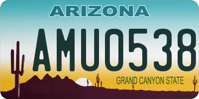 AZ license plate AMU0538