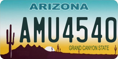 AZ license plate AMU4540