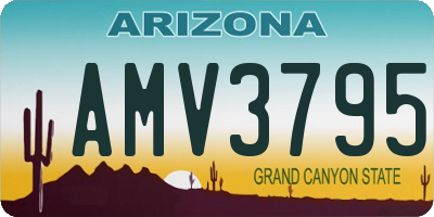 AZ license plate AMV3795