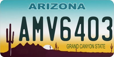 AZ license plate AMV6403