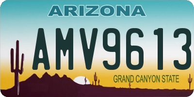 AZ license plate AMV9613