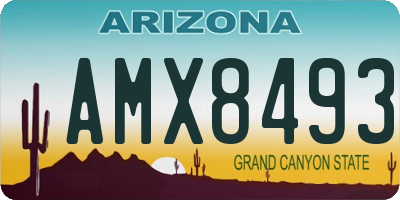 AZ license plate AMX8493