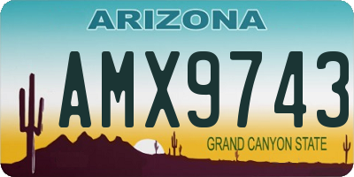 AZ license plate AMX9743