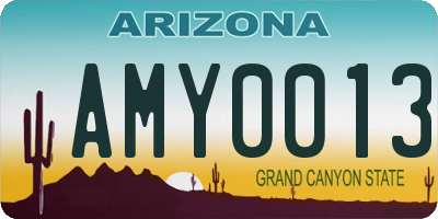AZ license plate AMY0013