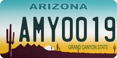AZ license plate AMY0019