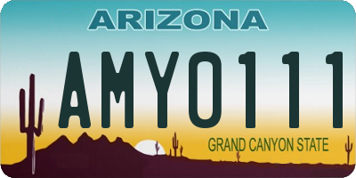 AZ license plate AMY0111