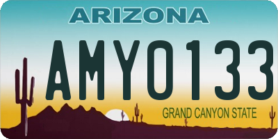 AZ license plate AMY0133