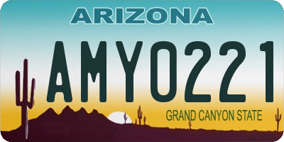 AZ license plate AMY0221