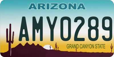 AZ license plate AMY0289