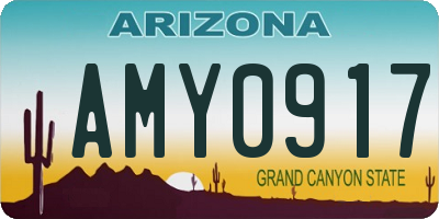 AZ license plate AMY0917
