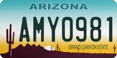 AZ license plate AMY0981