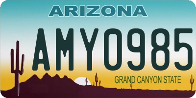 AZ license plate AMY0985