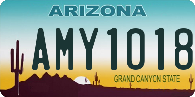 AZ license plate AMY1018