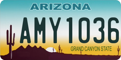 AZ license plate AMY1036