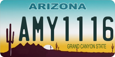 AZ license plate AMY1116