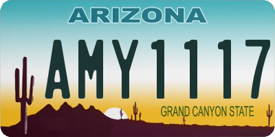 AZ license plate AMY1117