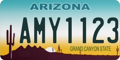 AZ license plate AMY1123