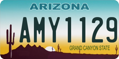 AZ license plate AMY1129