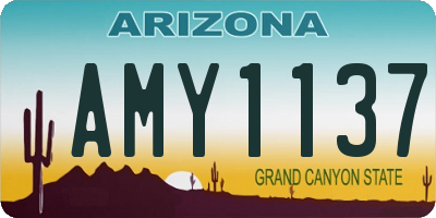 AZ license plate AMY1137