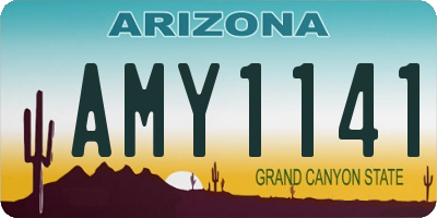 AZ license plate AMY1141