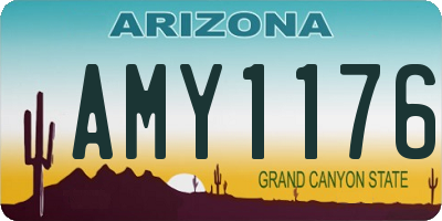 AZ license plate AMY1176