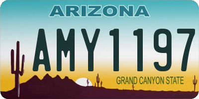AZ license plate AMY1197